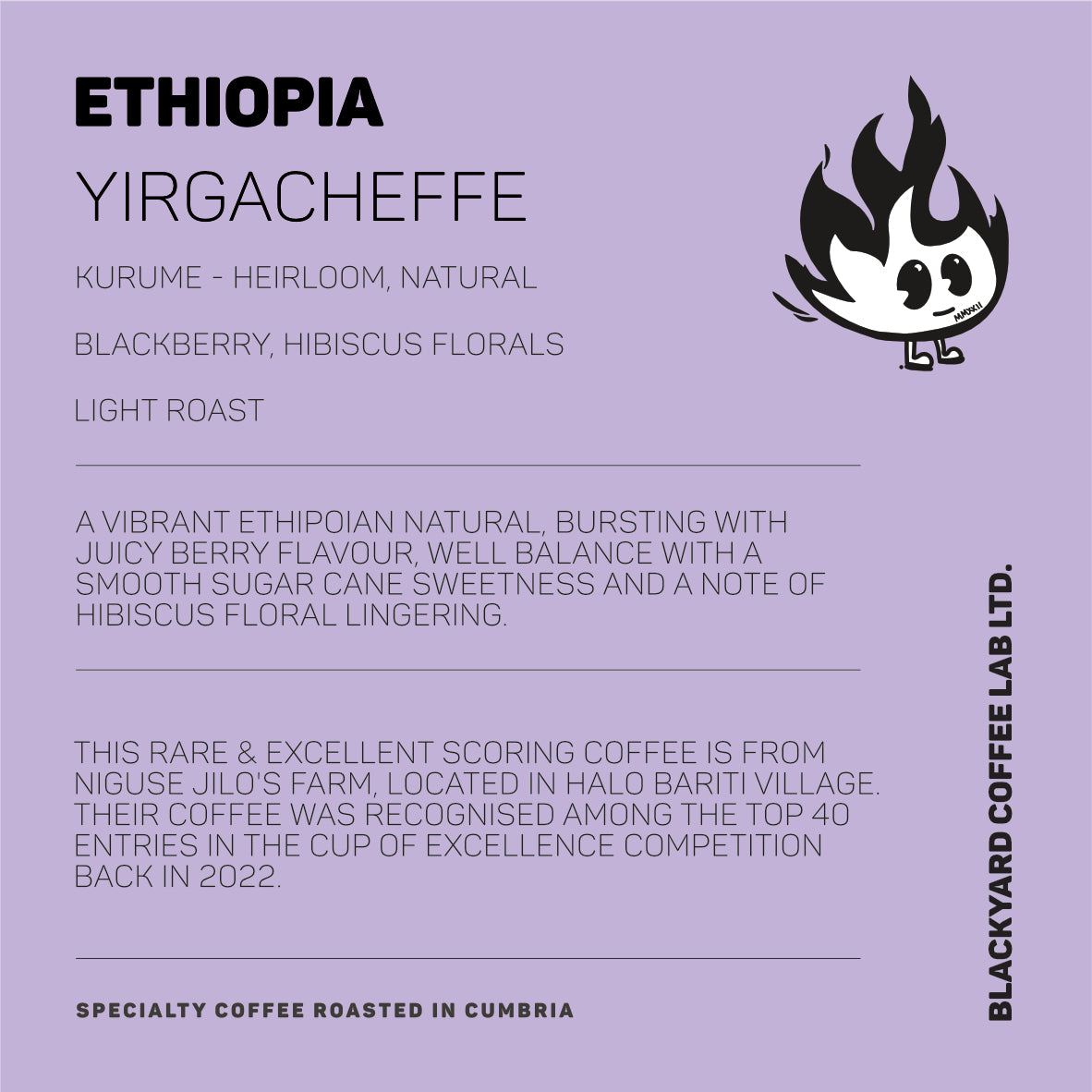 Ethiopia - Yirgacheffe [Light Roast]