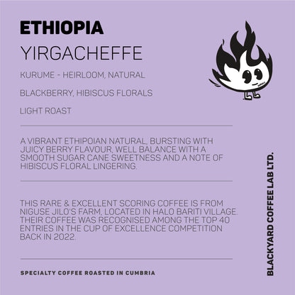 Ethiopia - Yirgacheffe [Light Roast]