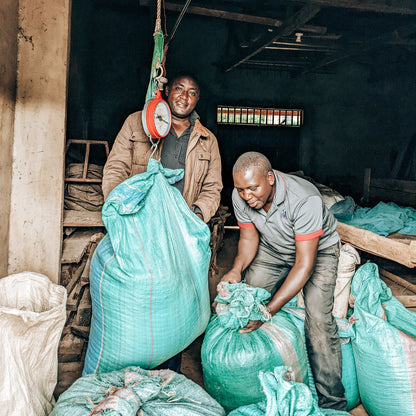 Kenya - Ainabtany AB [Light Roast]