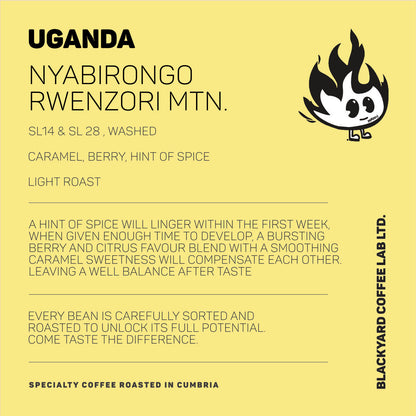 Uganda - Nyabirongo Rwenzori [Light Roast]