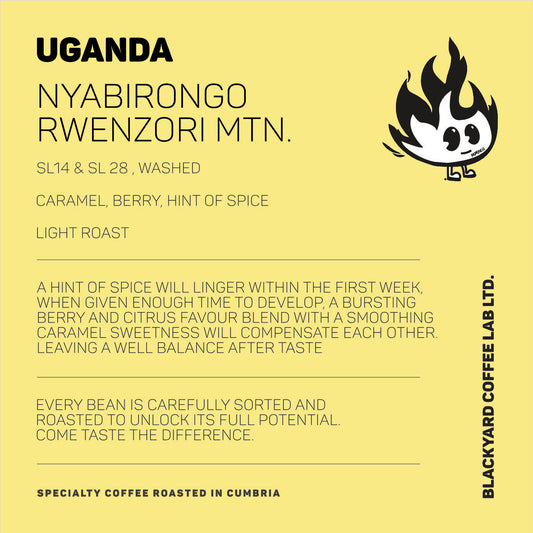 Uganda - Nyabirongo [Light Roast]